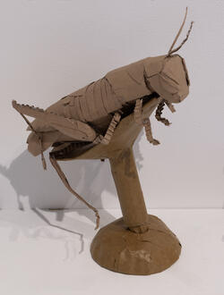 cardboard model of a cricket