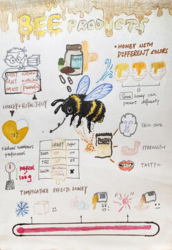 diagram of bee products